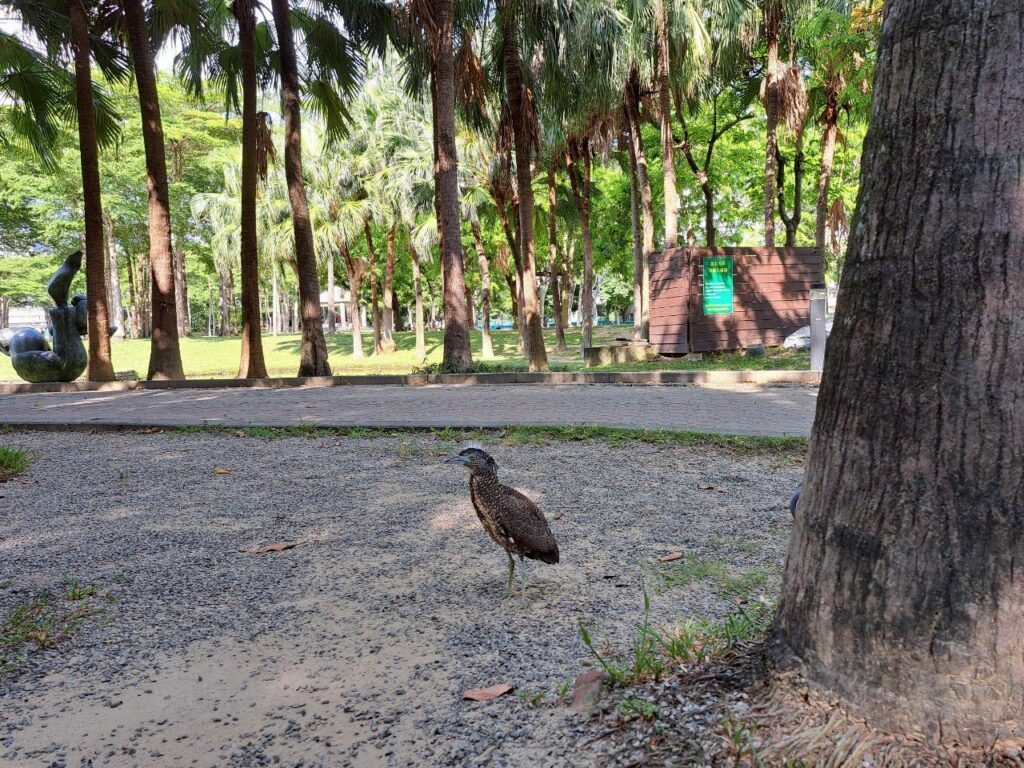 舊社公園 台中捷運松竹站