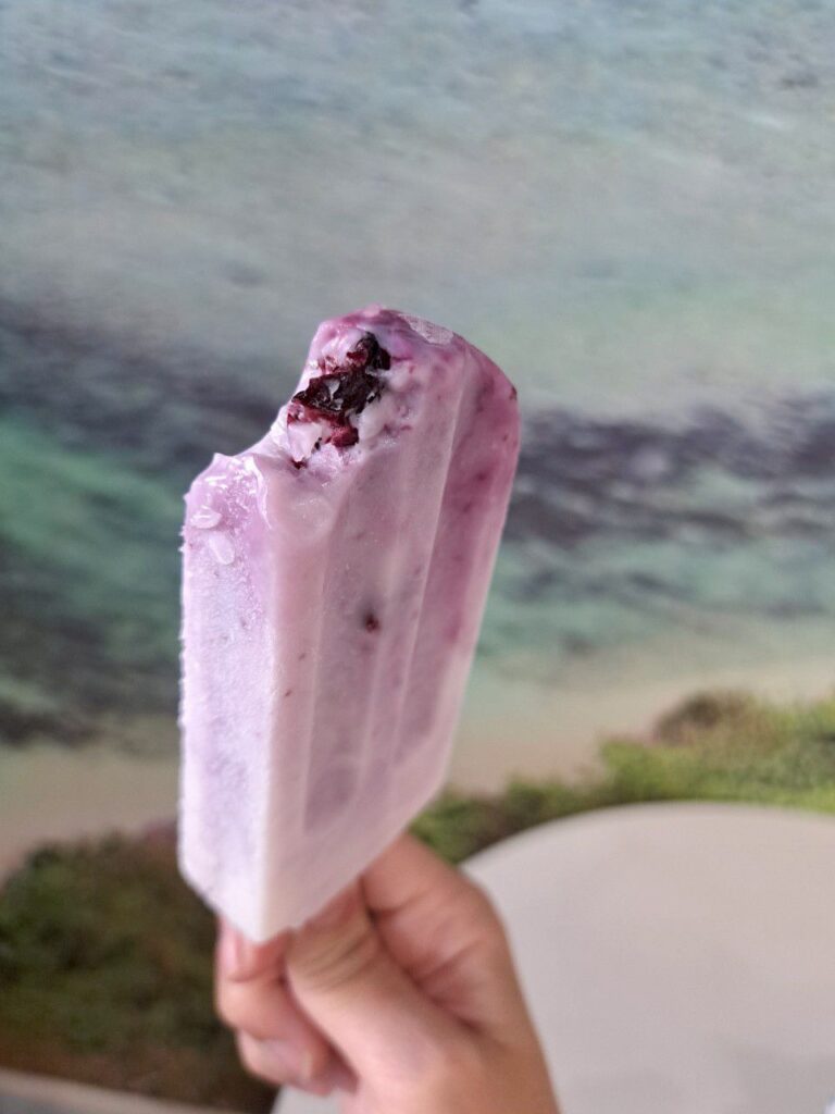 琉冰手作冰棒 琉球美食