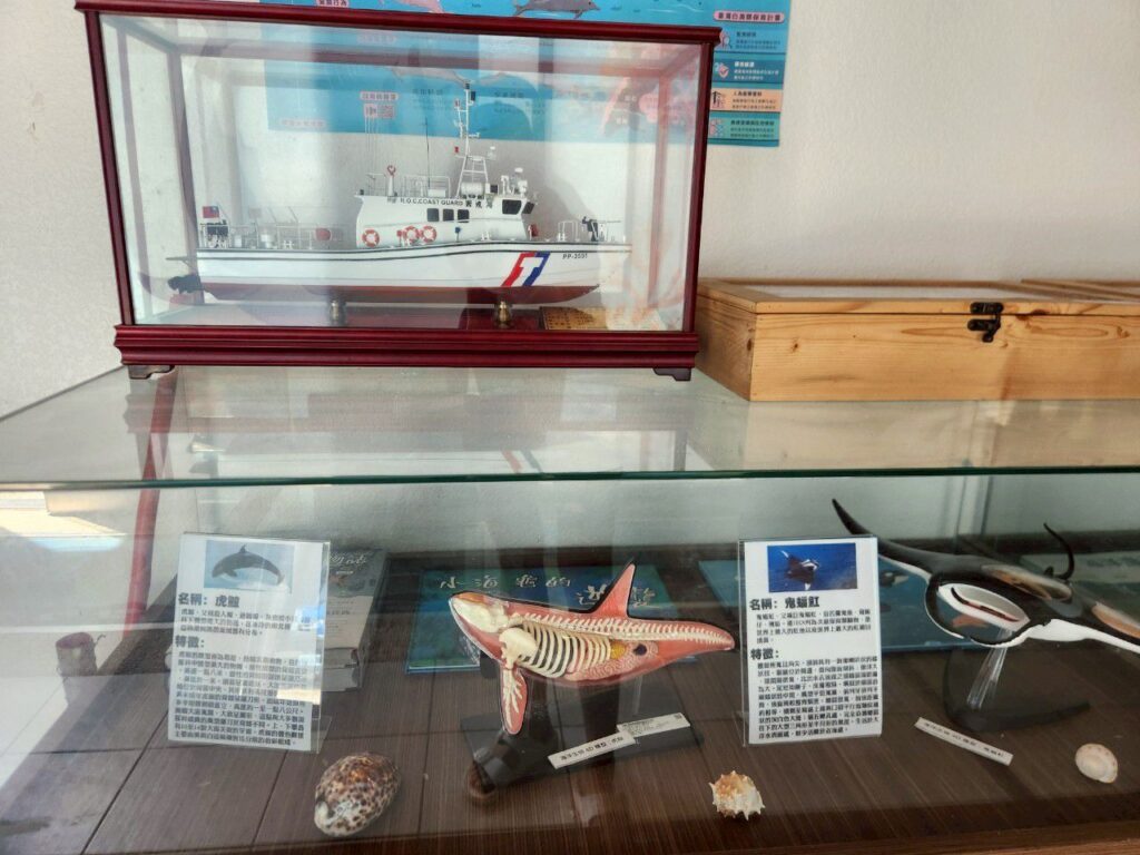 龍鳳海洋驛站 苗栗親子景點