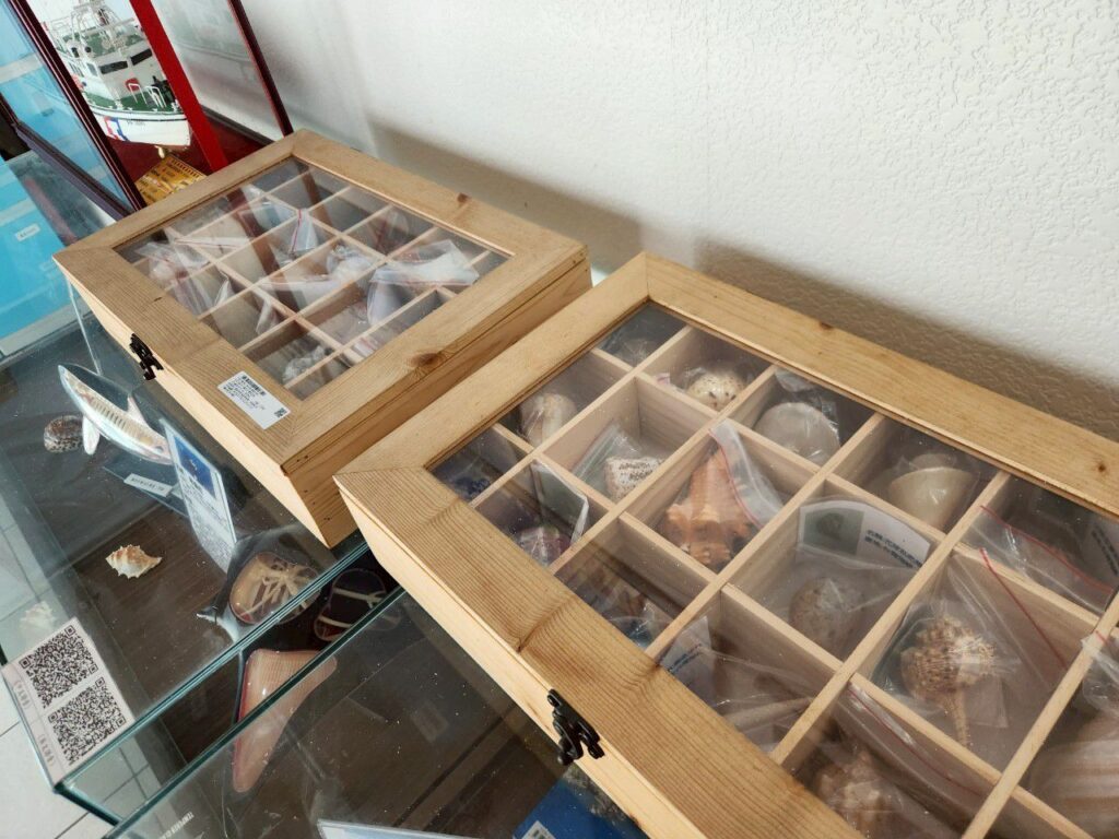 龍鳳海洋驛站 苗栗親子景點