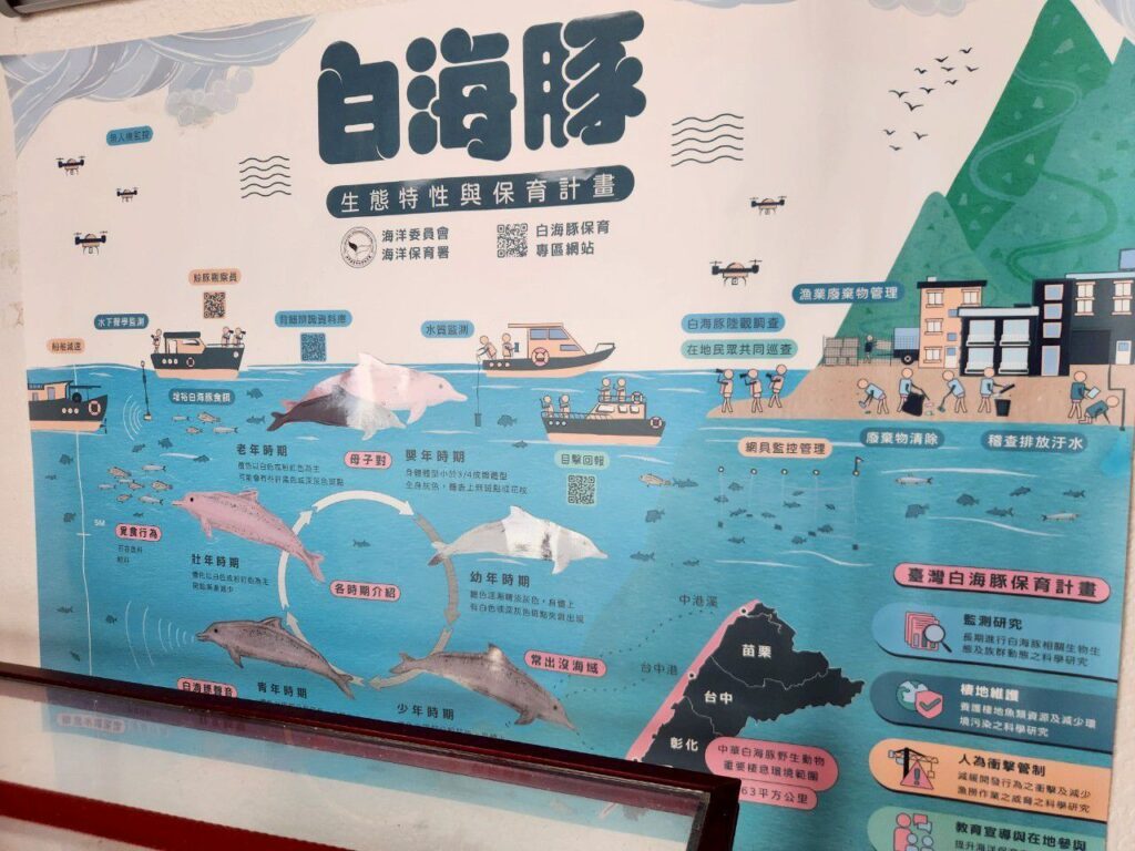 龍鳳海洋驛站 苗栗親子景點