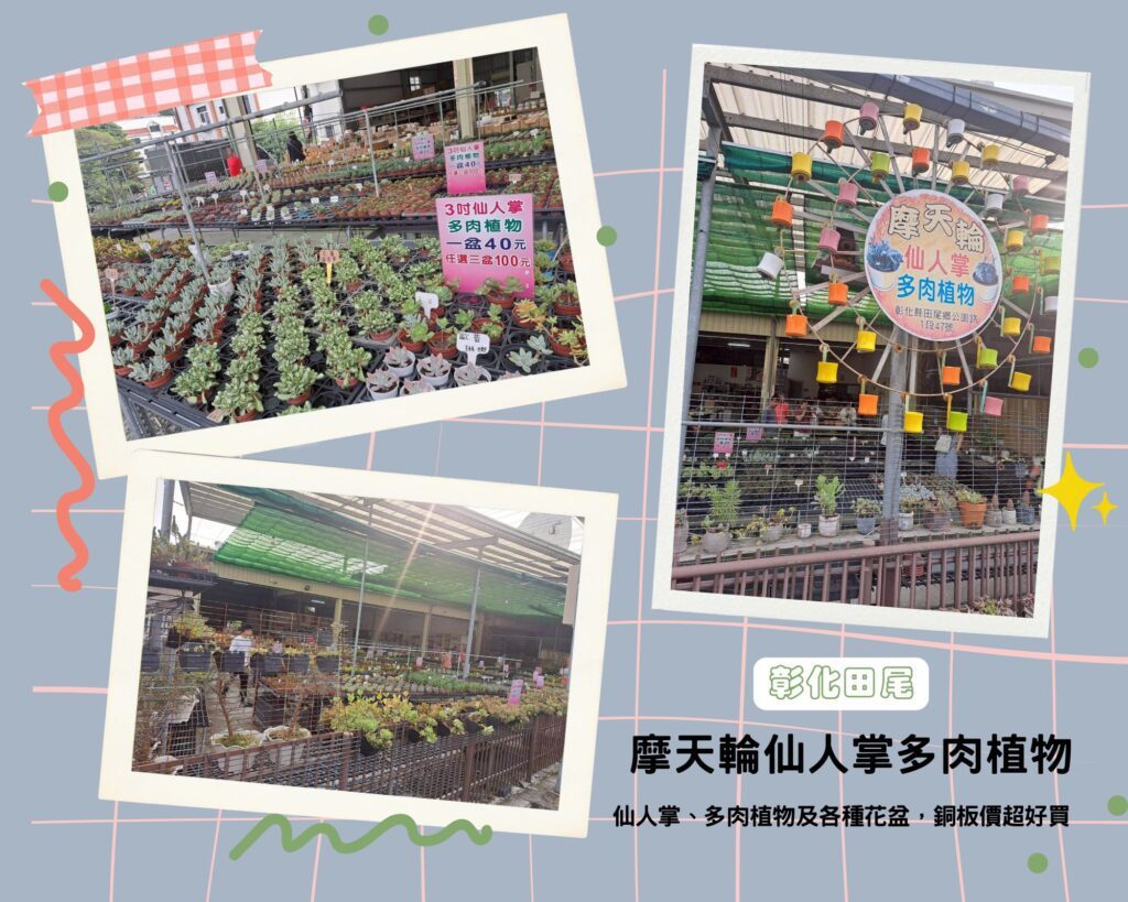  田尾摩天輪仙人掌多肉植物 是個人最推薦的田尾園藝店，超平價、好逛